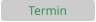 Termin