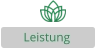 Leistung