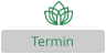 Termin