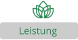 Leistung